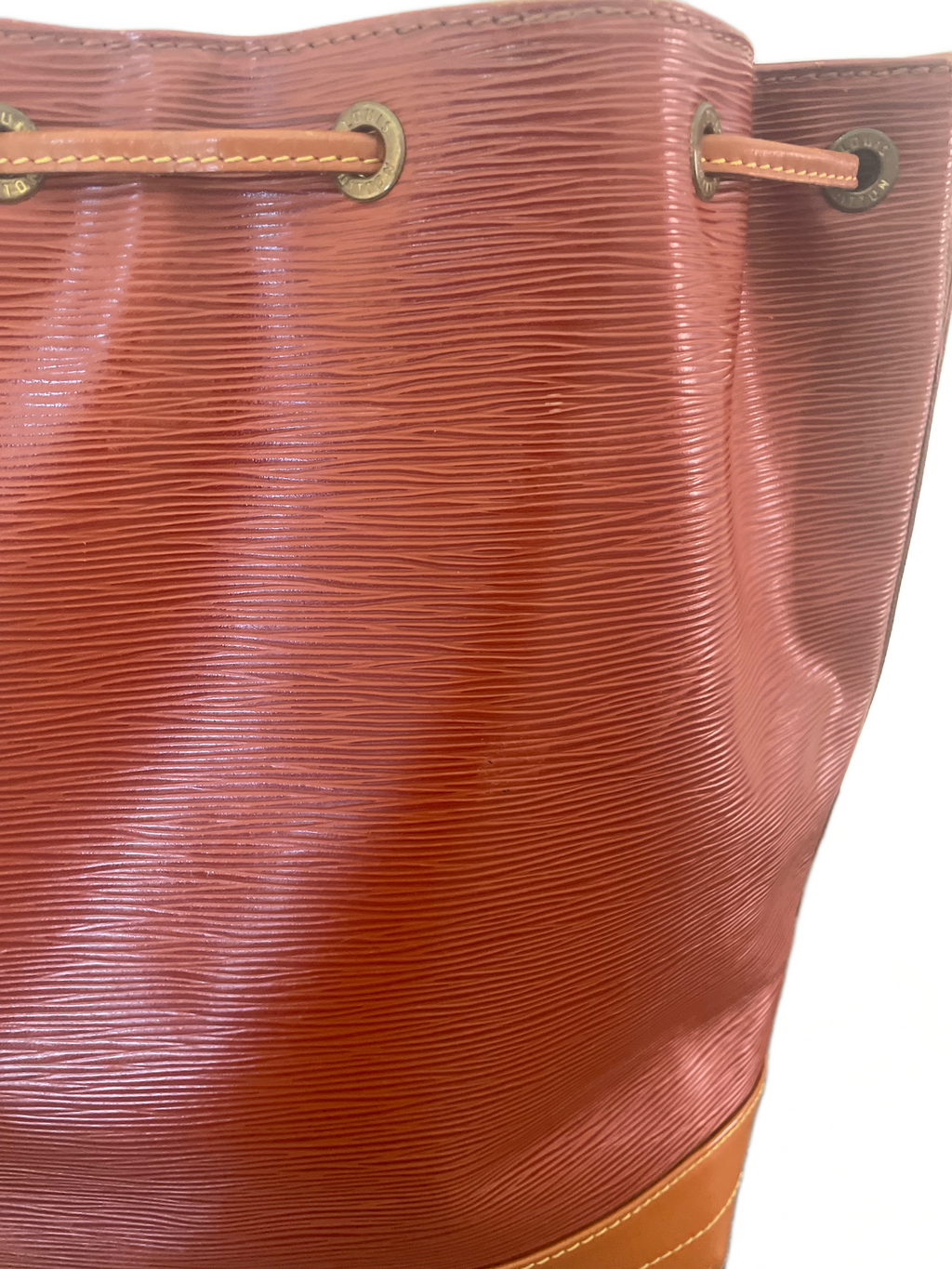 Louis Vuitton Epi Noé