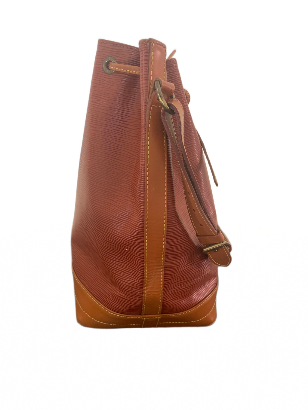 Louis Vuitton Epi Noé