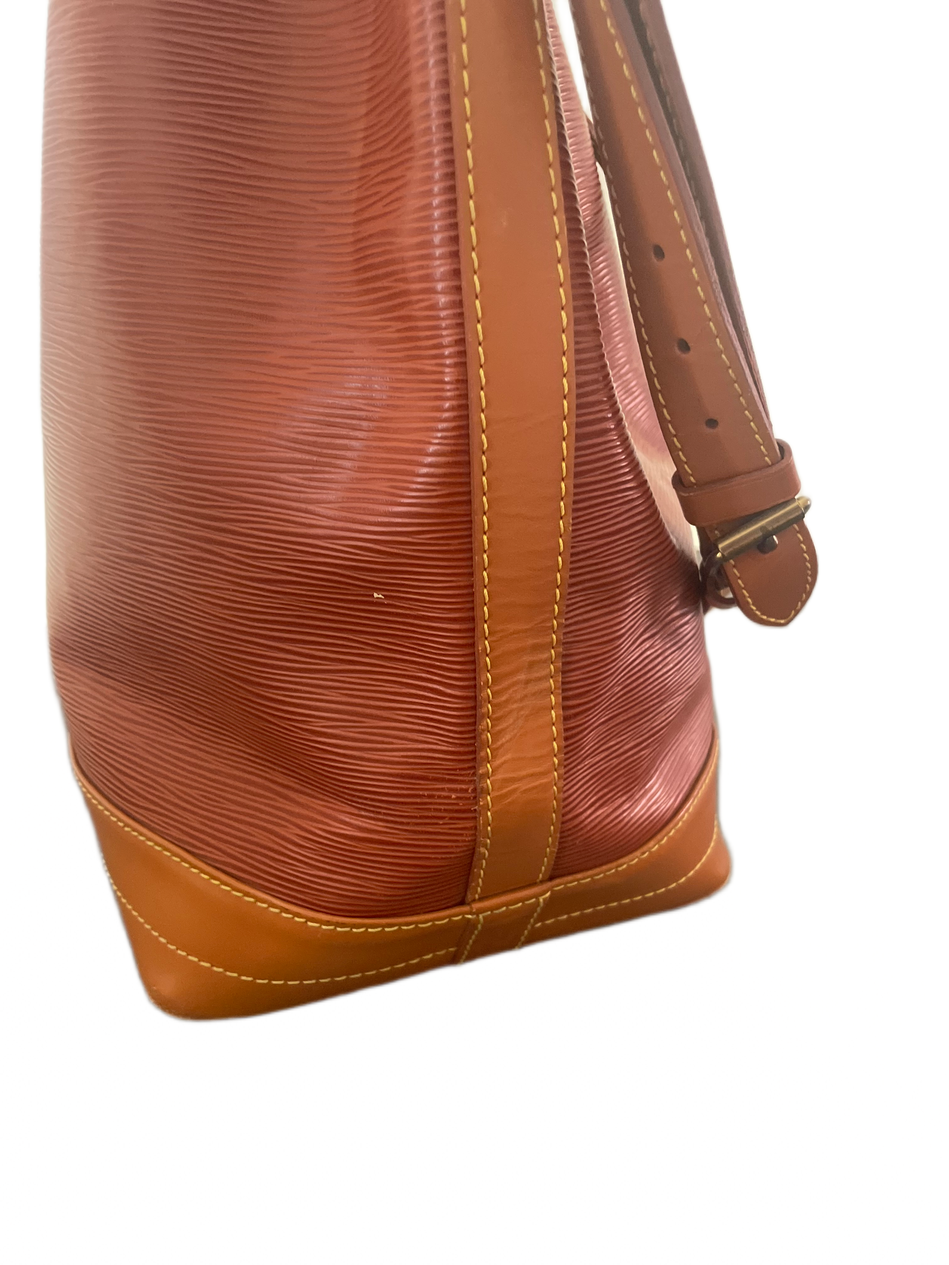 Louis Vuitton Epi Noé