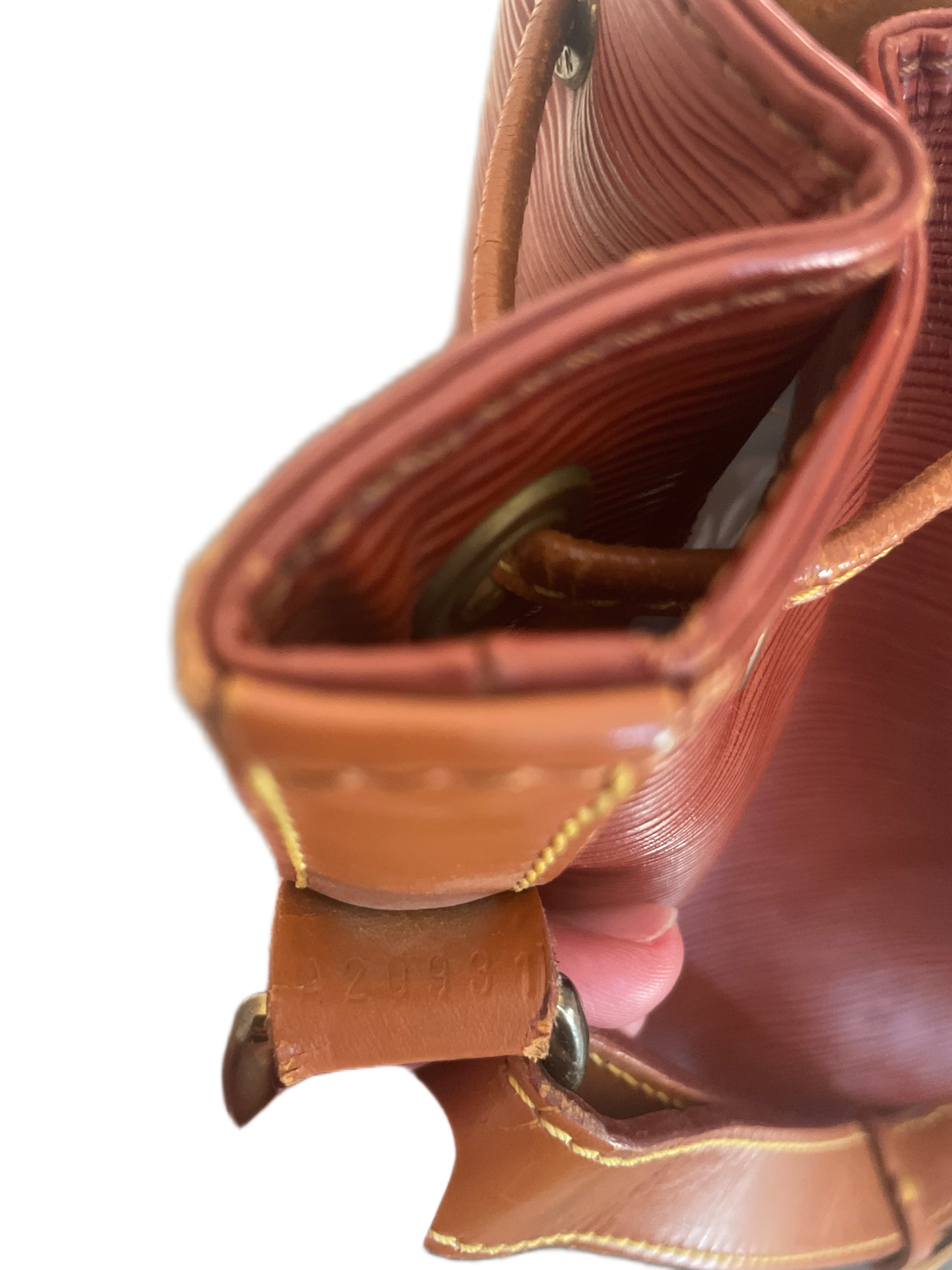 Louis Vuitton Epi Noé