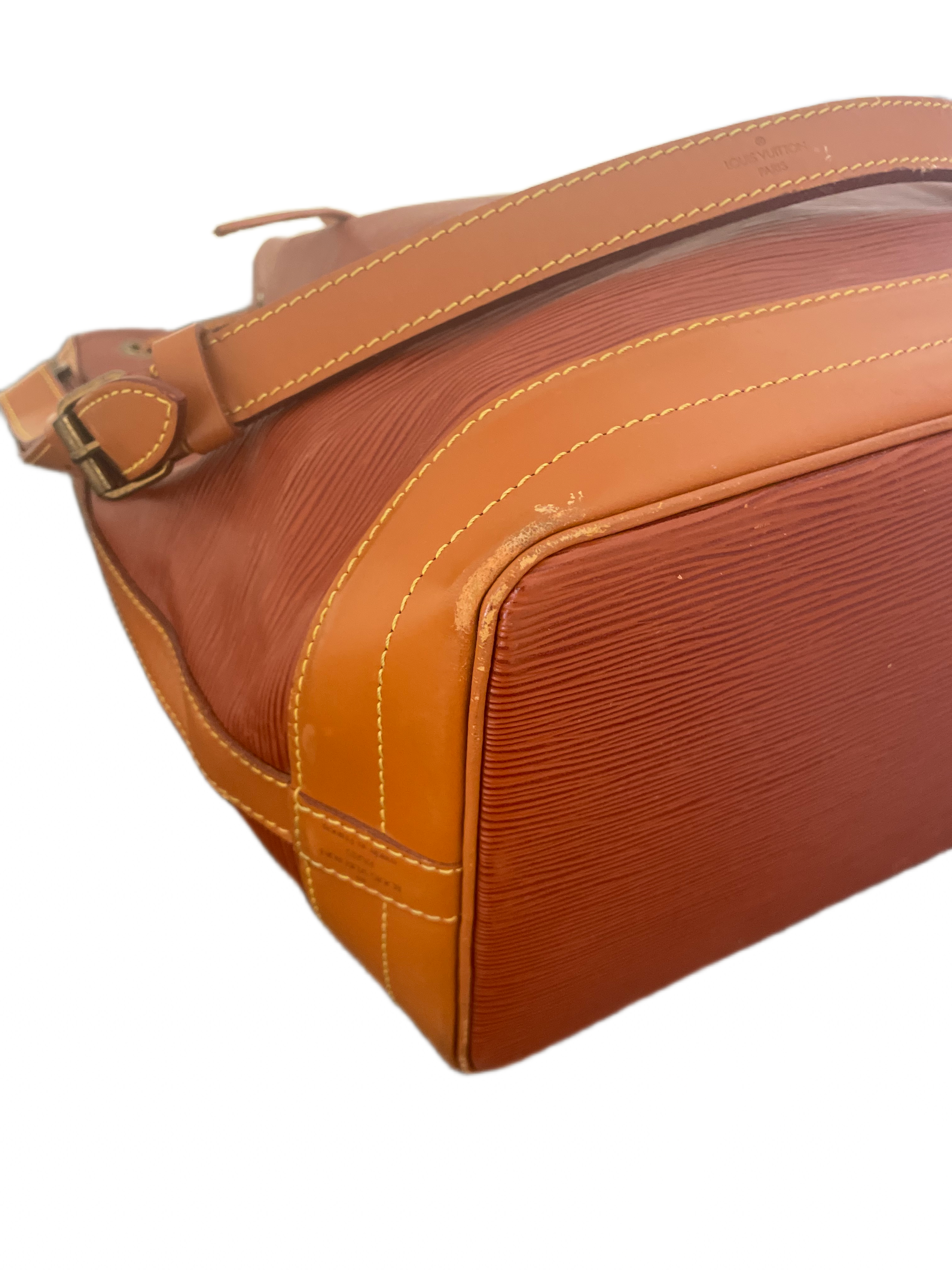 Louis Vuitton Epi Noé