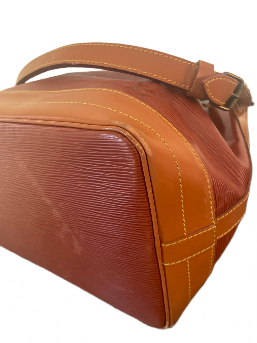 Louis Vuitton Epi Noé