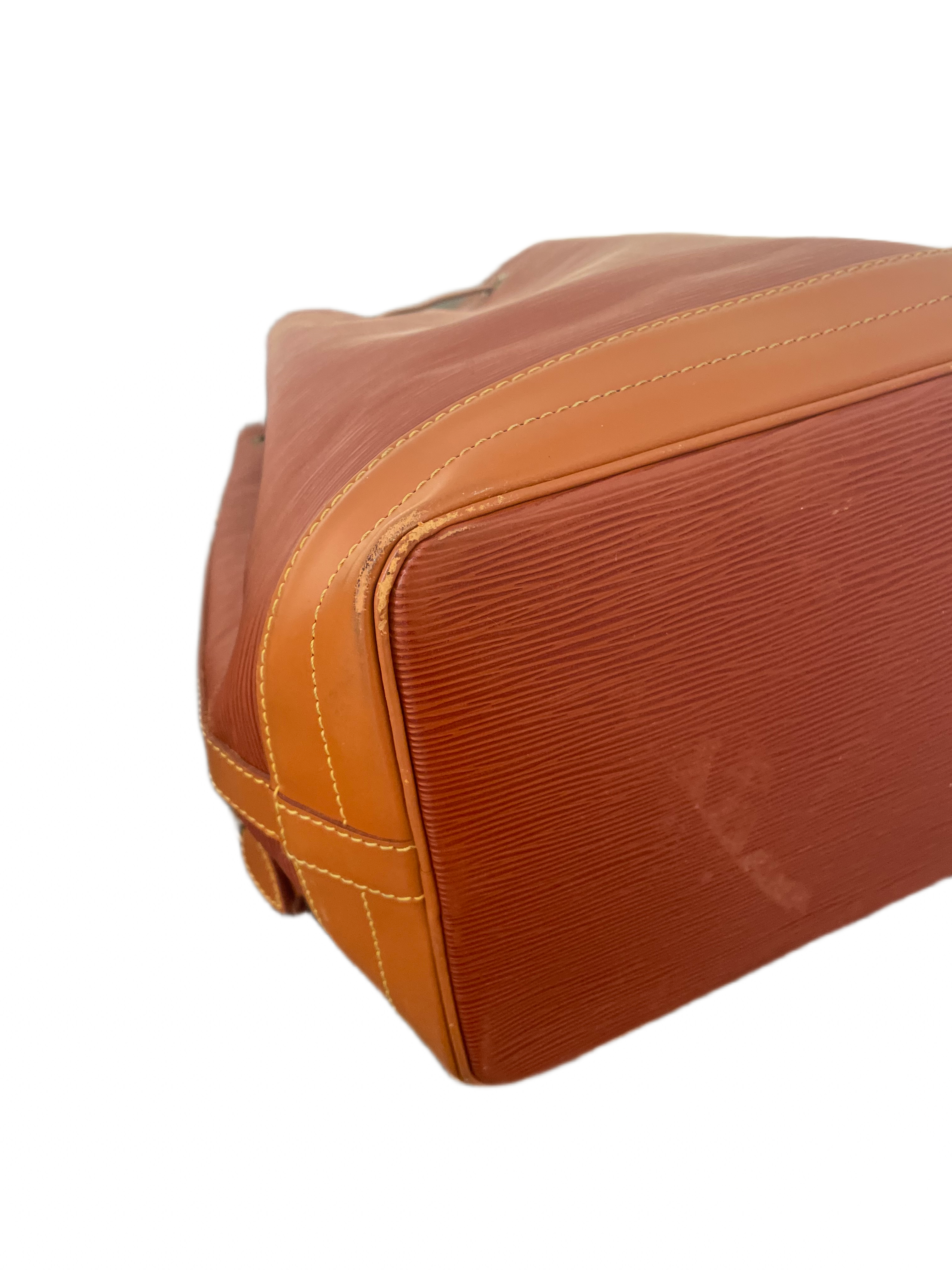Louis Vuitton Epi Noé