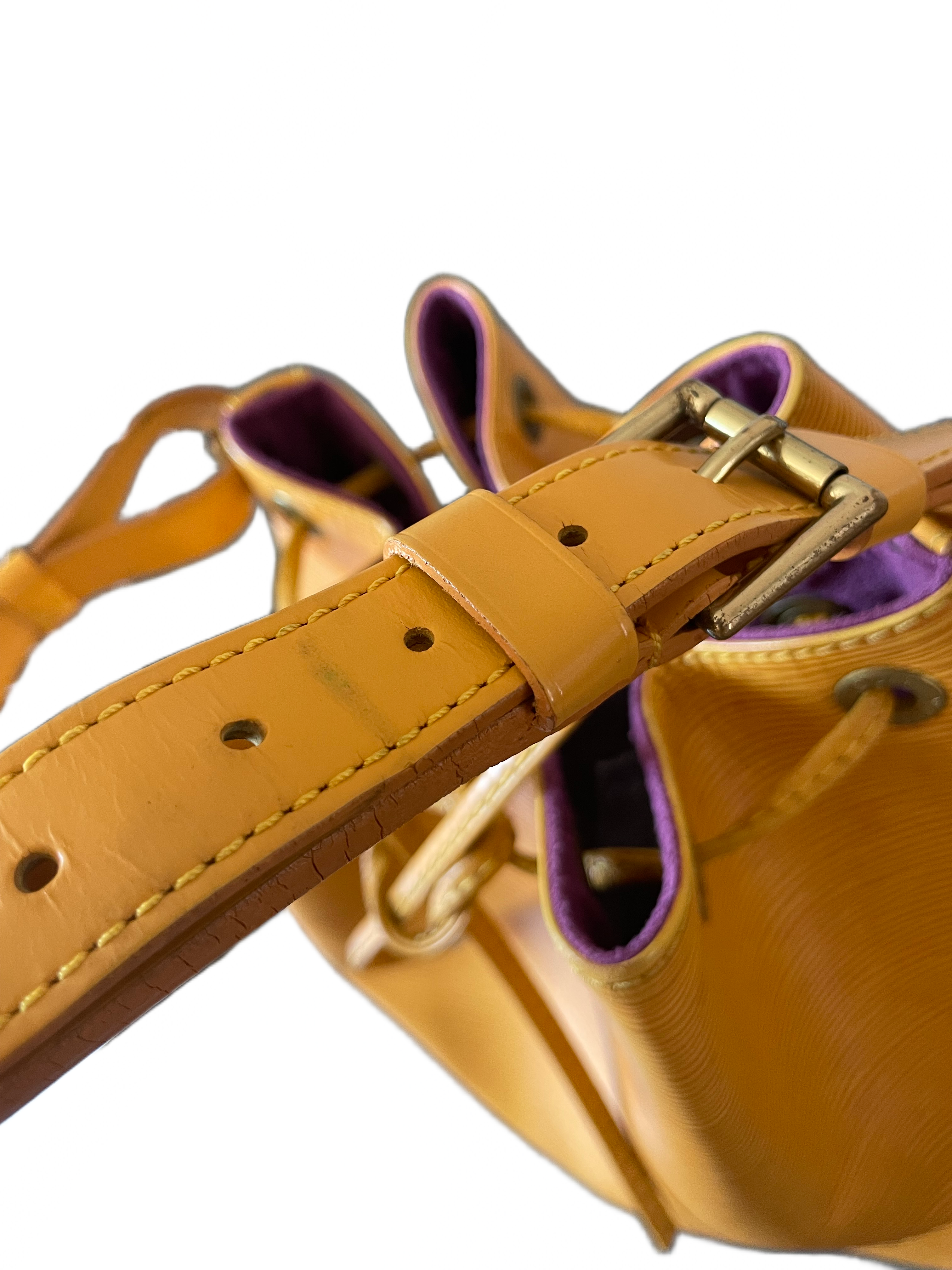 Louis Vuitton Petit Noé