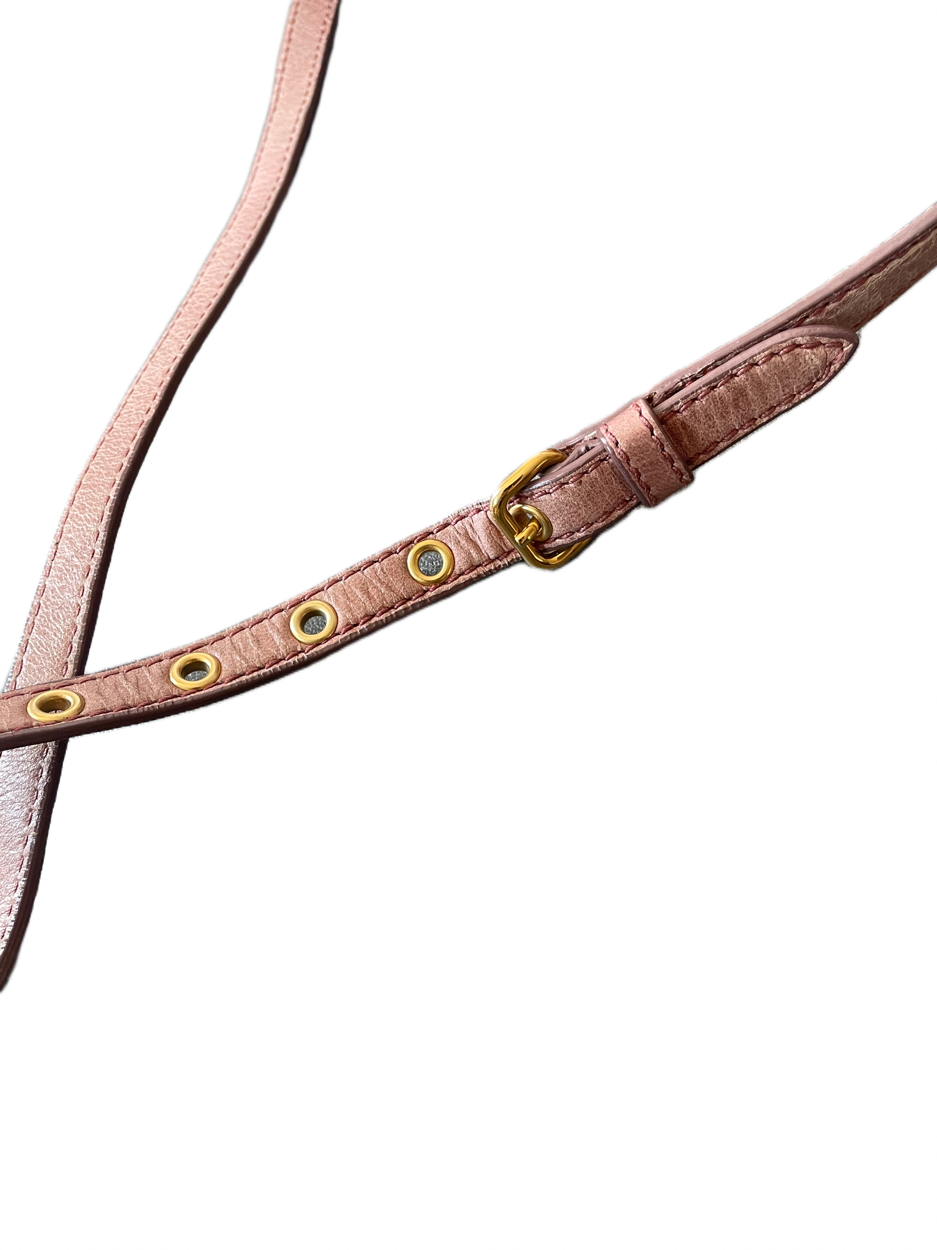 Miu Miu Vitello Lux