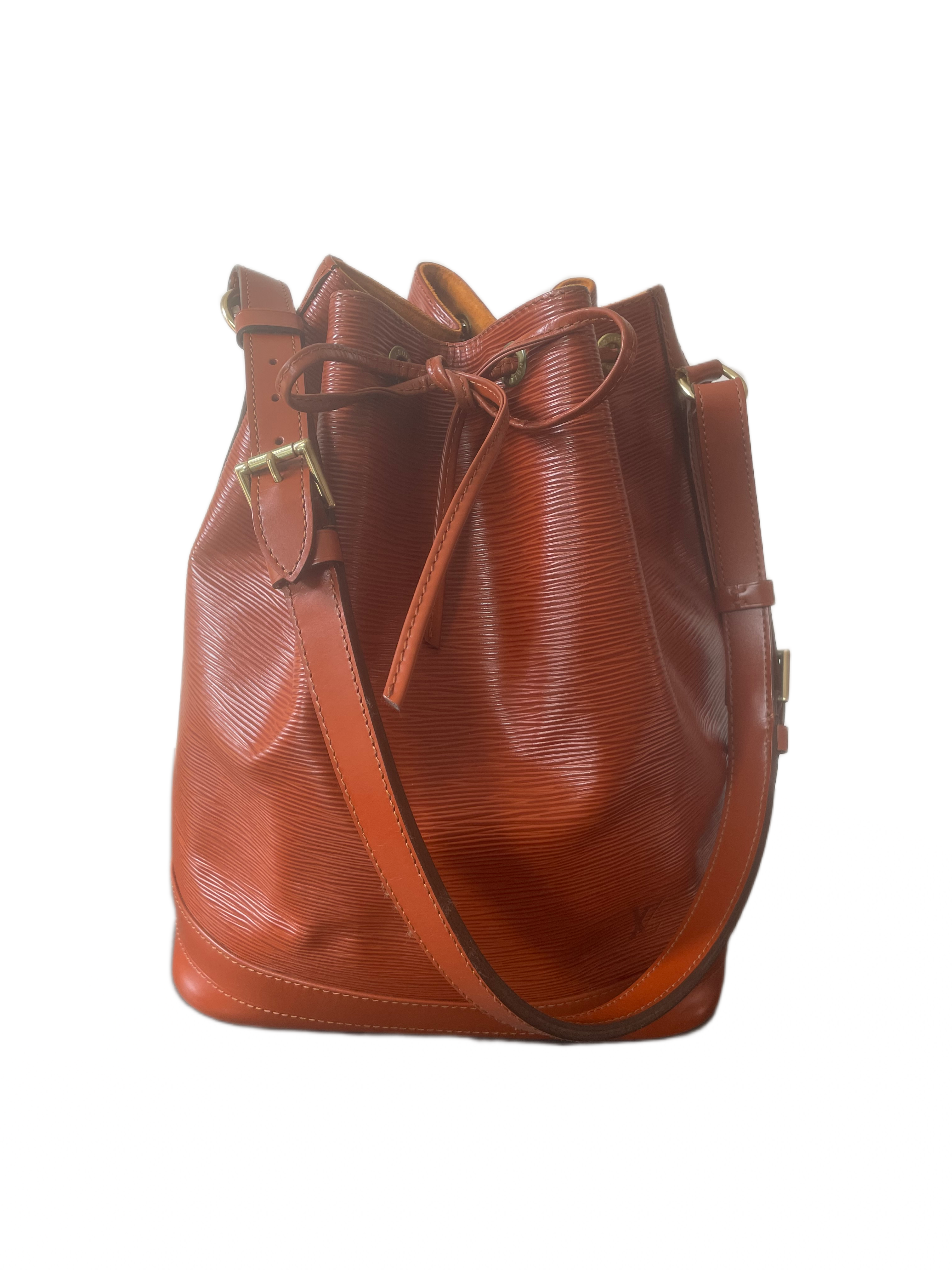 Louis Vuitton Noé Epi