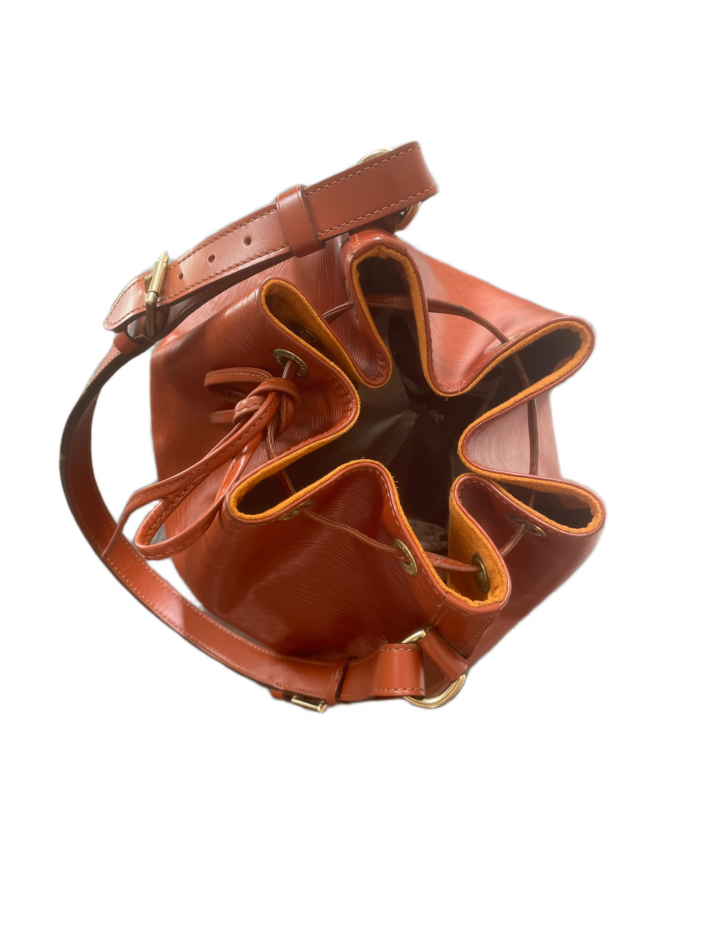 Louis Vuitton Noé Epi