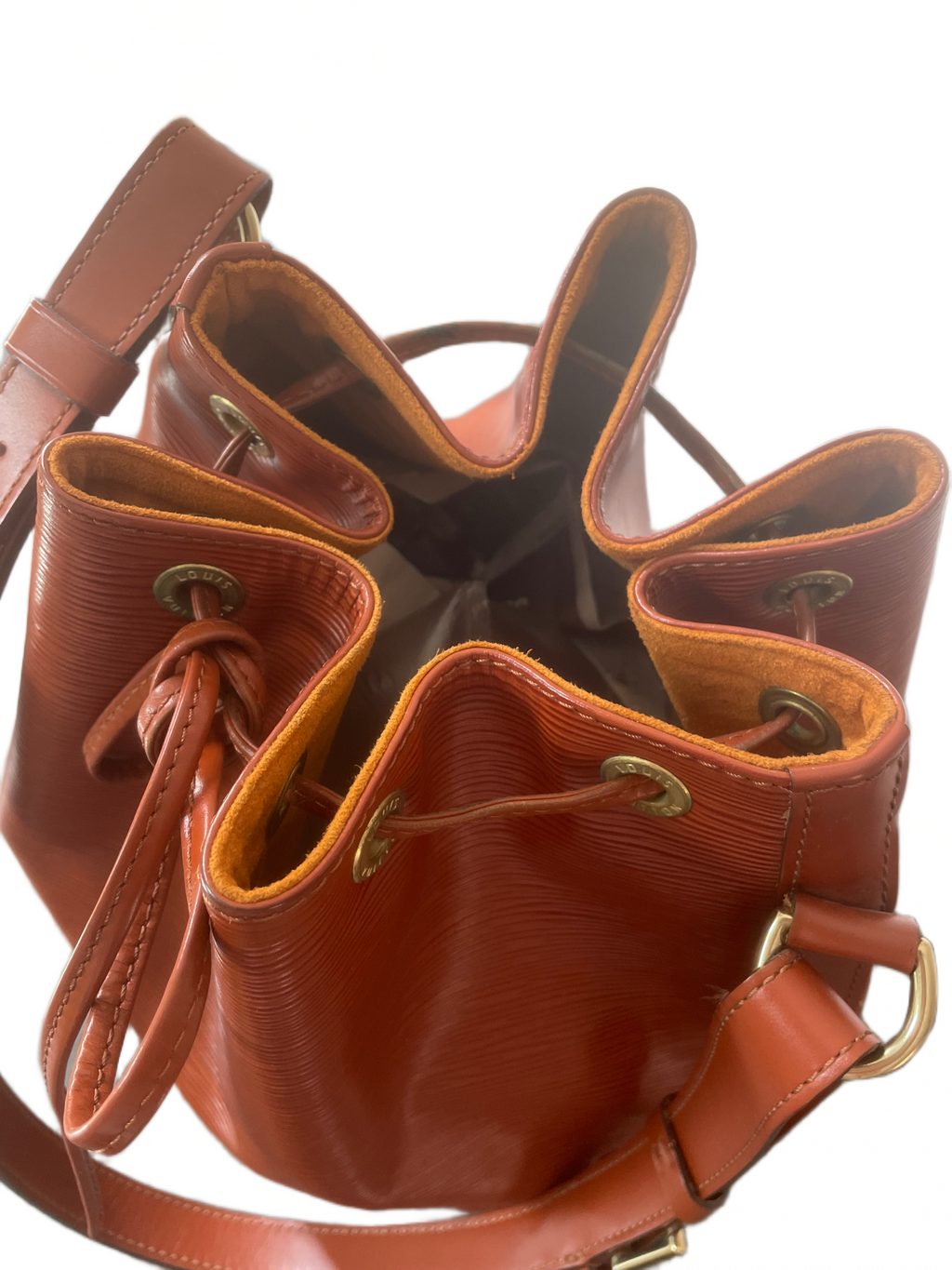 Louis Vuitton Noé Epi