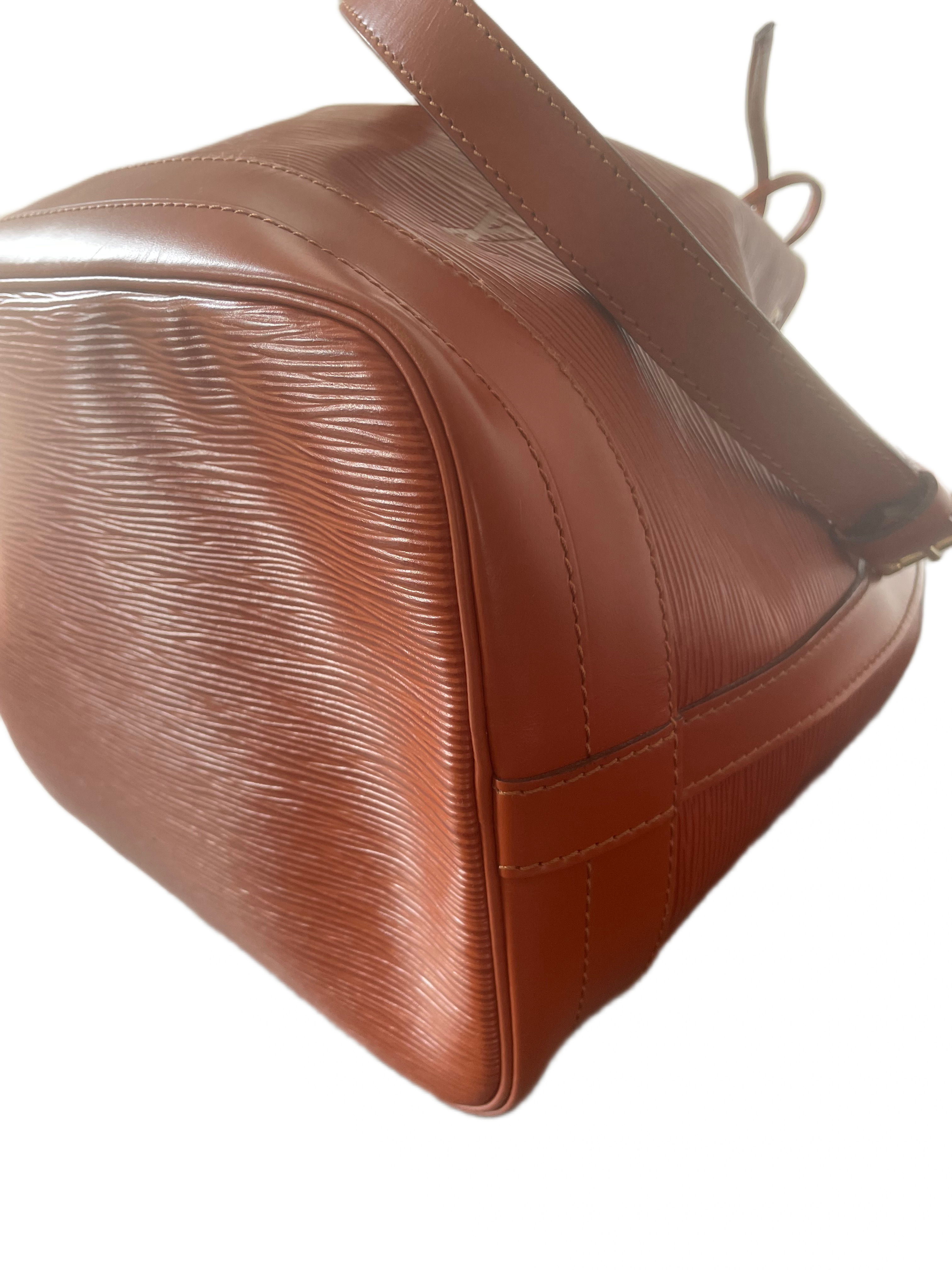 Louis Vuitton Noé Epi