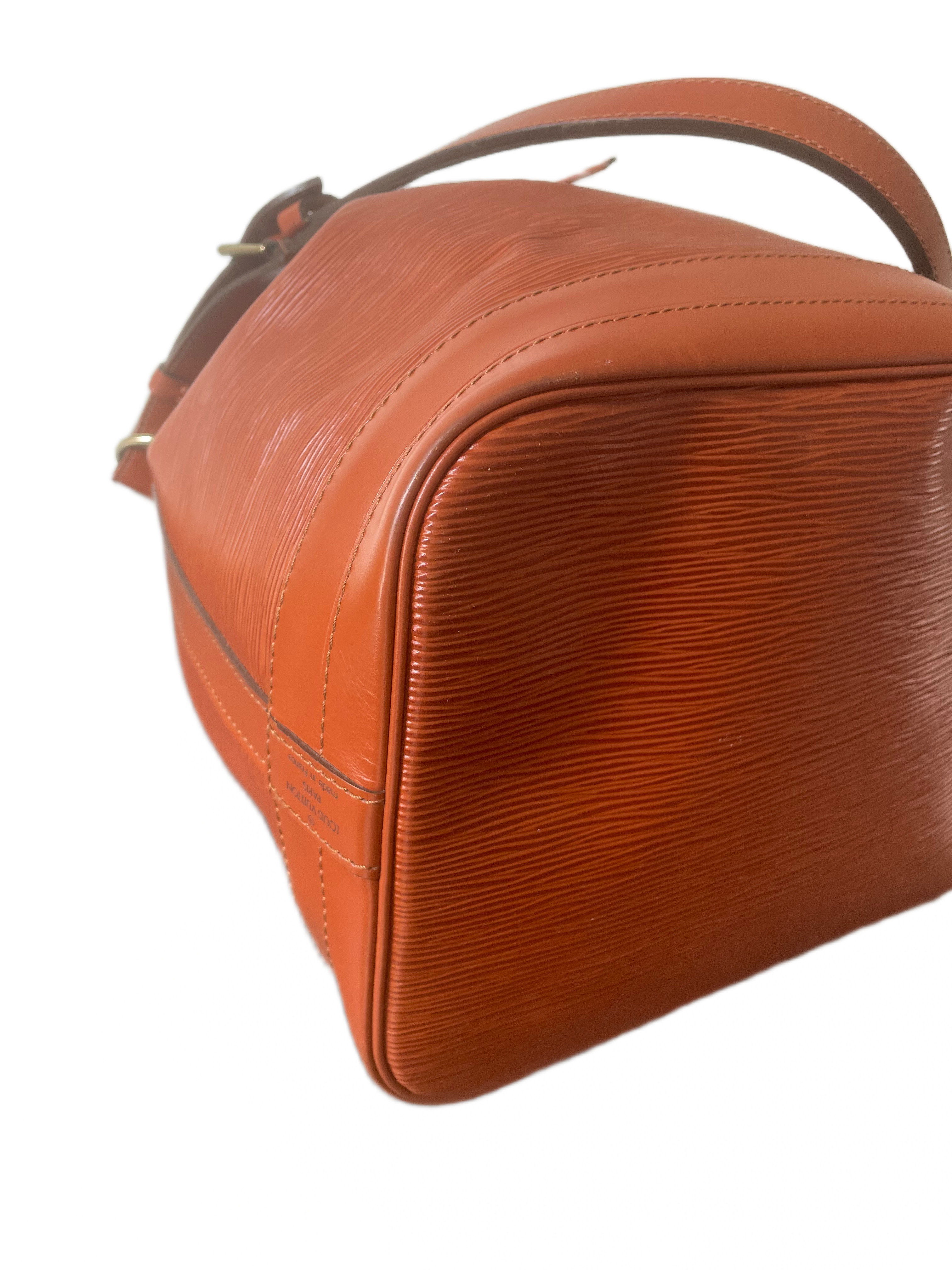Louis Vuitton Noé Epi