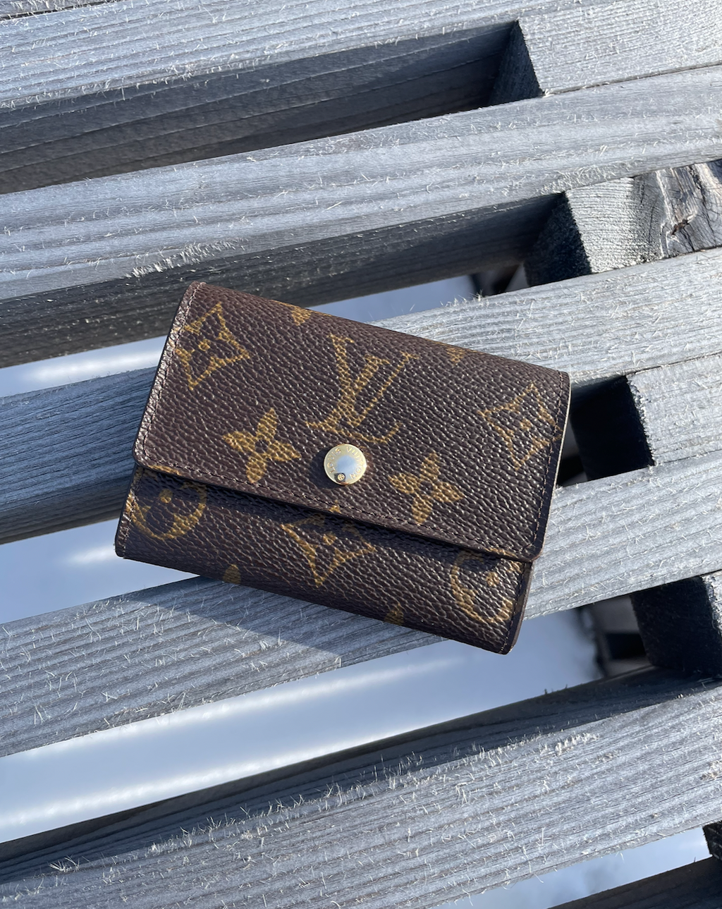 Louis Vuitton Monogram Pung