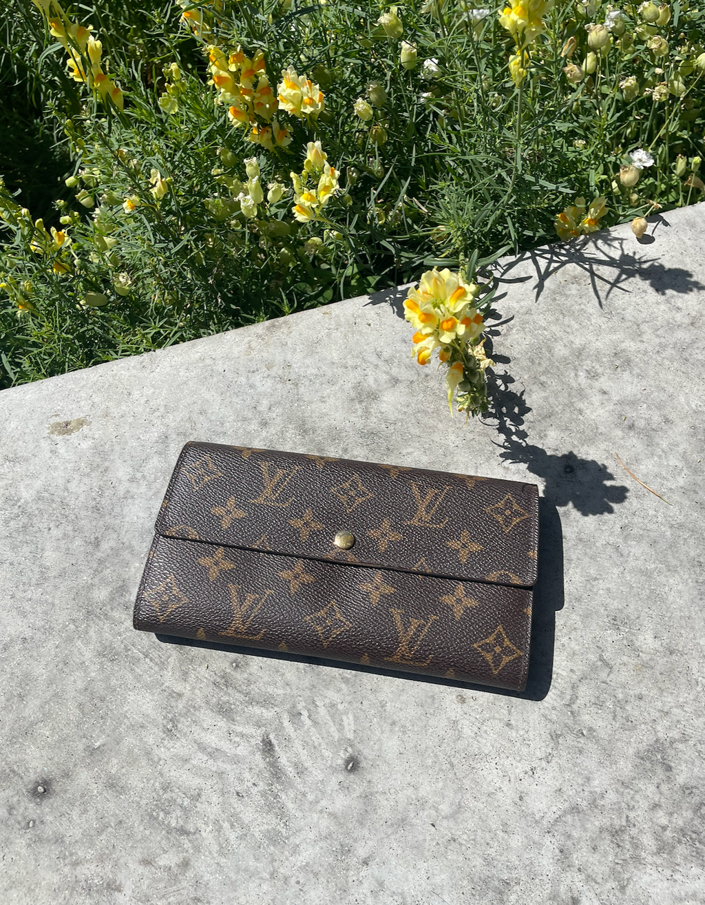 Louis Vuitton Monogram Sarah pung