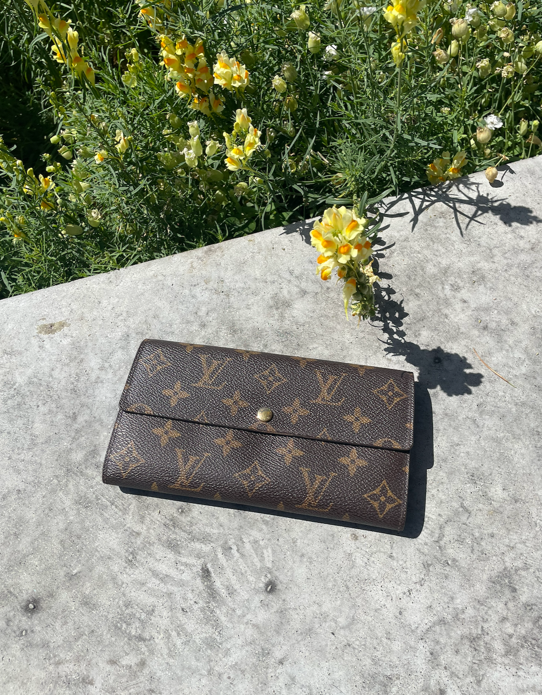Louis Vuitton Monogram Sarah pung