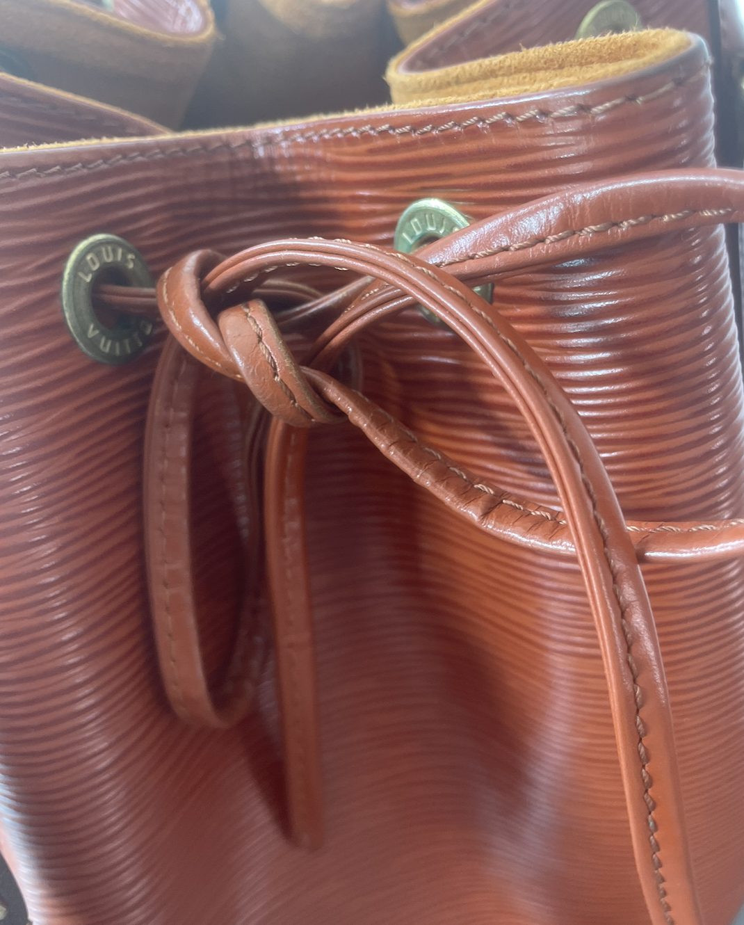 Louis Vuitton Noé Epi