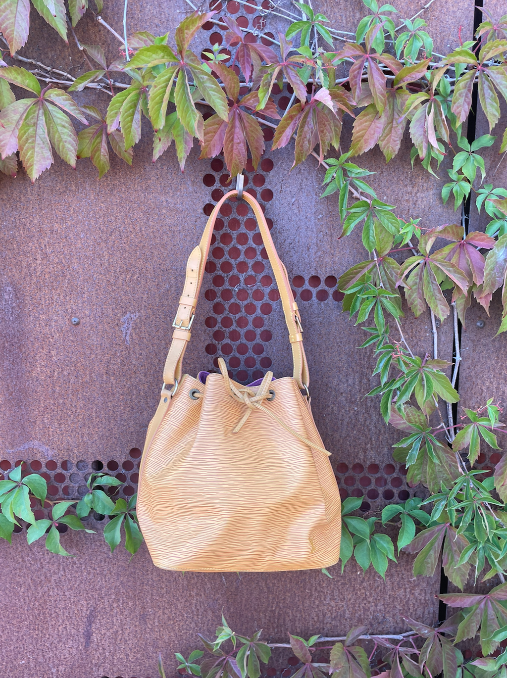 Louis Vuitton Petit Noé Epi