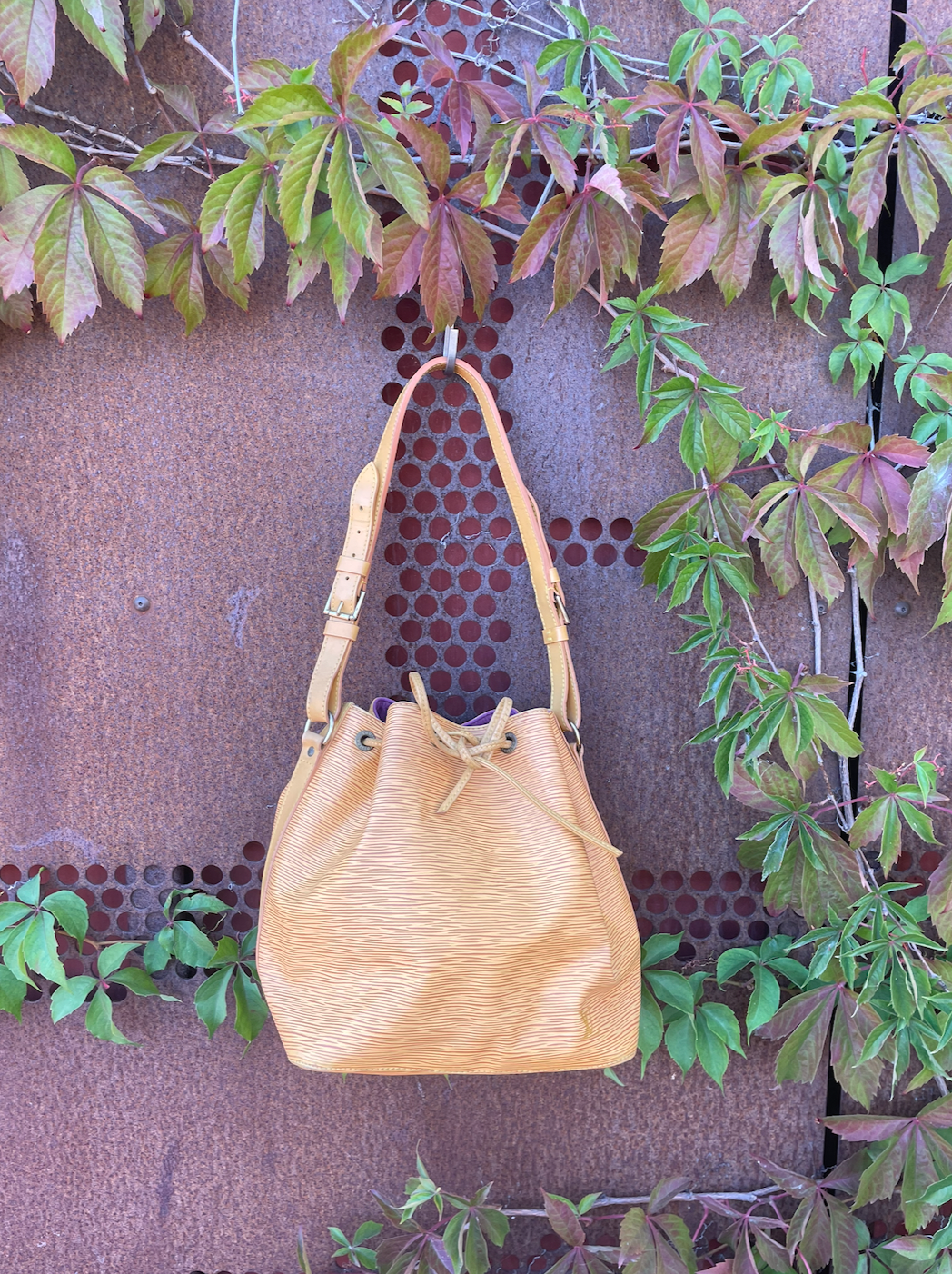 Louis Vuitton Petit Noé Epi