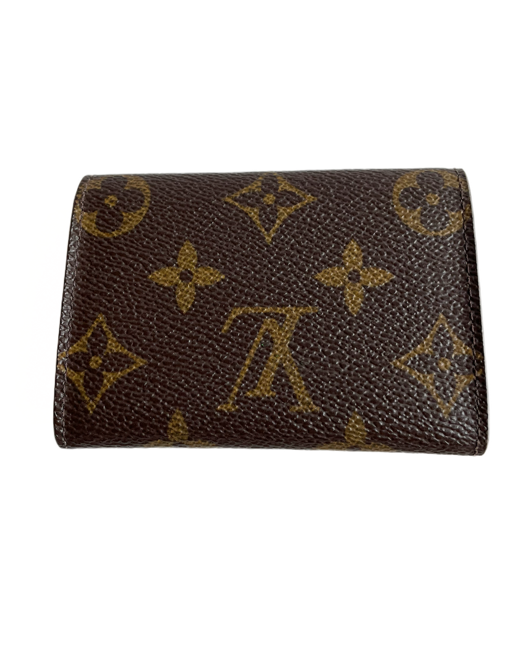 Louis Vuitton Monogram Pung