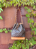 Louis Vuitton Noe GM