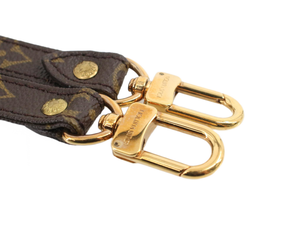 Louis Vuitton Monogram rem